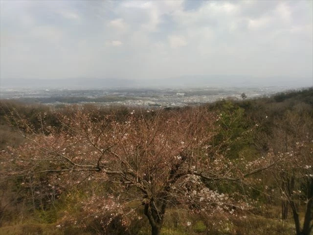 古都奈良を代表する観光スポット、明神山への散策を楽しみながら滞在を満喫