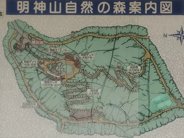散策プラン