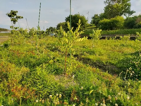 未来へつながる自然体験と新たな冒険の瞬間を