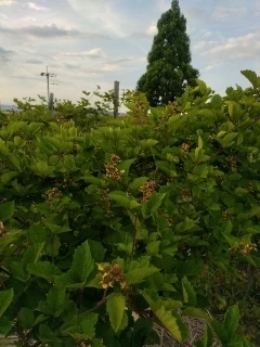 農園の息吹を感じる一日を